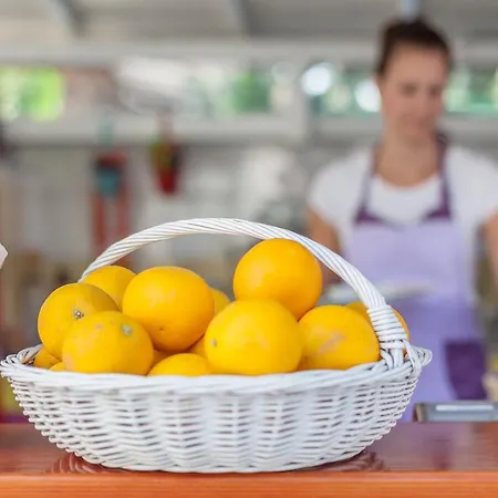 Domus Maritima Hotel