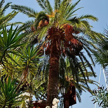 מלון Domus Maritima 3*