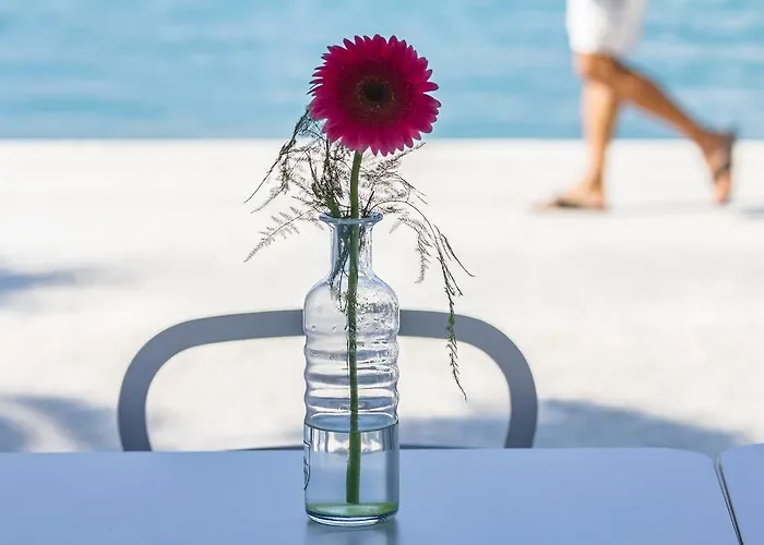 Domus Maritima Hotel Trogir