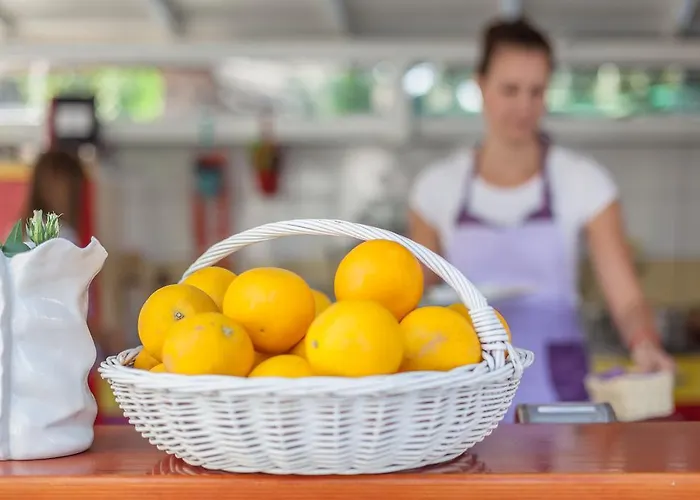 Domus Maritima Hotel